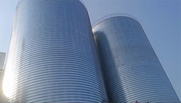 千阳2座混凝土高架卷板仓